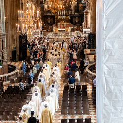 Göttliche Liturgie Stephansdom