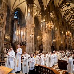 Chrisammesse 2025 / Erzdiözese Wien/ Schönlaub, Stephan Schönlaub